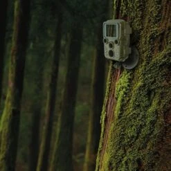 Braun-Photo Wildkamera Scouting Cam Black800 Mini, 20 MP, Nachtsicht, PIR, Display, IP66 -Körperpflege Store 1a943f46975efff759b95621f0dd04d2134d8791 wildkamera braun photo scouting cam black800 mini