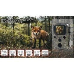 Braun-Photo Wildkamera Scouting Cam Black800 Mini, 20 MP, Nachtsicht, PIR, Display, IP66 -Körperpflege Store 39953990e51bf45120f180075e5dd4e0c298c19b wildkamera braun photo scouting cam black800 mini