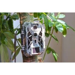 Braun-Photo Wildkamera Scouting Cam Black820 Dual, 32 MP, Nachtsicht, PIR, Display, IP66 -Körperpflege Store 9f50693b6f2dcecdd97ea52e8ac2a15459df740c wildkamera braun photo scouting cam black820 dual